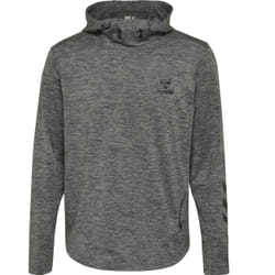 Sweatshirt à capuche Hummel hmllaston - M