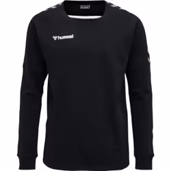 Sweatshirt Hummel hmlAUTHENTIC Training