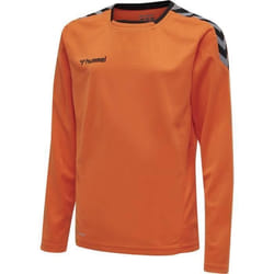 Maillot Hummel enfant manches longues hmlAUTHENTIC HML