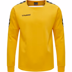 Sweatshirt Hummel hmlAUTHENTIC Training