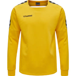 Sweatshirt Hummel hmlAUTHENTIC Training