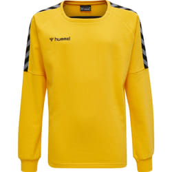 Sweatshirt enfant Hummel hmlAUTHENTIC Training
