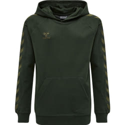 Sweatshirt à capuche enfant Hummel Lmove Classic
