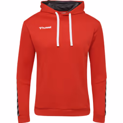 Sweatshirt à capuche Hummel hmlAUTHENTIC Poly