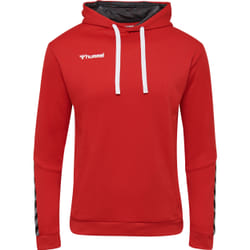 Sweatshirt à capuche Hummel hmlAUTHENTIC Poly