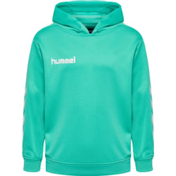Sweatshirt à capuche enfant Hummel hmlPROMO Poly