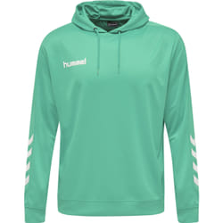 Sweatshirt à capuche Hummel hmlPROMO Poly