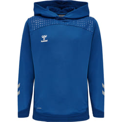 Sweatshirt à capuche enfant Hummel hmlLEAD poly