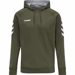 Sweat à capuche Hummel hmlGO
