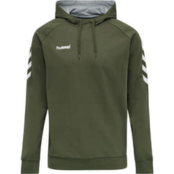 Sweat à capuche Hummel hmlGO