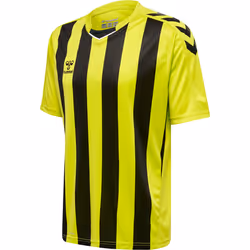 Maillot Hummel Striped