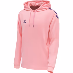 Sweatshirt à capuche polyester Hummel Core XK