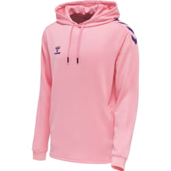 Sweatshirt à capuche polyester Hummel Core XK
