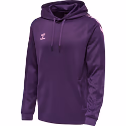 Sweatshirt à capuche polyester Hummel Core XK