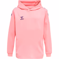 Sweatshirt à capuche enfant Hummel hmlCORE XK