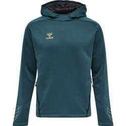 Sweatshirt à capuche Hummel hmlCIMA