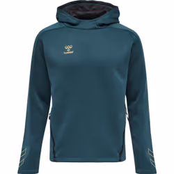 Sweatshirt à capuche Hummel hmlCIMA