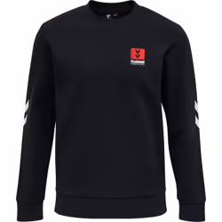 Sweatshirt Hummel hmlLGC graham