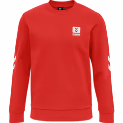 Sweatshirt Hummel hmlLGC graham