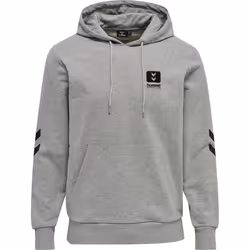 Sweatshirt à capuche Hummel hmlLGC graham