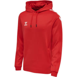 Sweatshirt à capuche Hummel hmlCORE XK poly