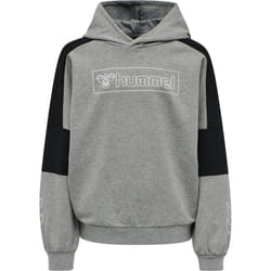 Sweatshirt à capuche enfant Hummel hmlBOXLINE