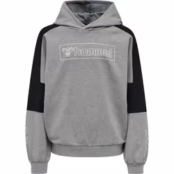 Sweatshirt à capuche enfant Hummel hmlBOXLINE