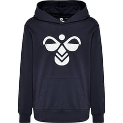 Sweatshirt à capuche enfant Hummel hmlcuatro