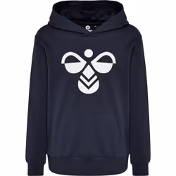 Sweatshirt à capuche enfant Hummel hmlcuatro
