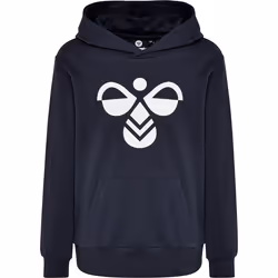 Sweatshirt à capuche enfant Hummel hmlcuatro