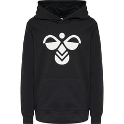 Sweatshirt à capuche enfant Hummel hmlcuatro