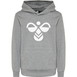 Sweatshirt à capuche enfant Hummel hmlcuatro
