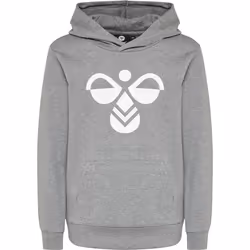 Sweatshirt à capuche enfant Hummel hmlcuatro