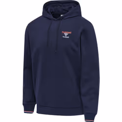 Sweatshirt à capuche Hummel IC Dayton