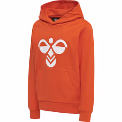 Sweatshirt à capuche enfant Hummel Cuatro