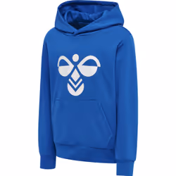 Sweatshirt à capuche enfant Hummel Cuatro
