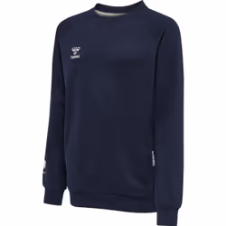 Sweatshirt coton enfant Hummel Move Grid
