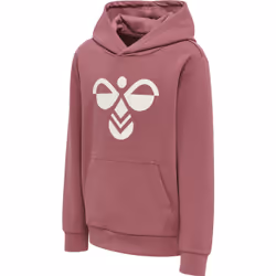 Sweatshirt à capuche enfant Hummel Cuatro