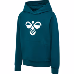 Sweatshirt à capuche enfant Hummel Cuatro
