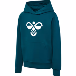 Sweatshirt à capuche enfant Hummel Cuatro