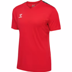 Maillot Hummel Authentic Pl