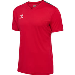Maillot Hummel Authentic Pl