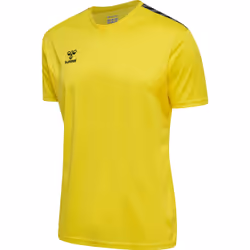 Maillot Hummel Authentic Pl