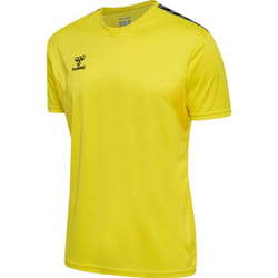 Maillot Hummel Authentic Pl