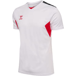 Maillot Hummel Authentic PL