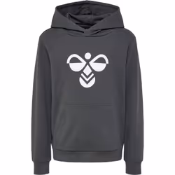 Sweatshirt à capuche enfant Hummel hmlCuatro
