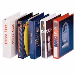 Esselte 49762 classeur à anneaux A4 Bleu
