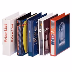 Esselte 49763 classeur à anneaux A4 Noir