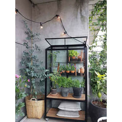 Mini-serre Juliana Serre urbaine Noir Revêtu par poudre, 3 mm Épaisseur de paroi 80 x 40 cm