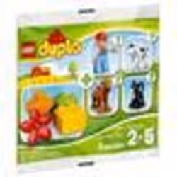 LEGO® DUPLO 30067 Farm V29